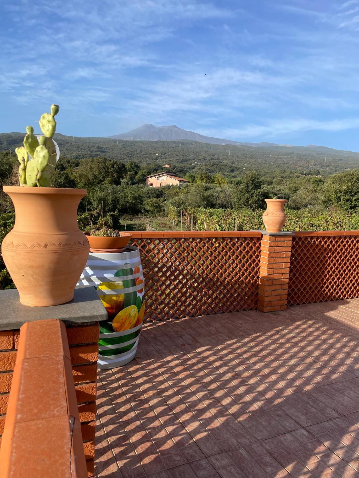 Camia Etna House Apartment Piedimonte Etneo Bagian luar foto