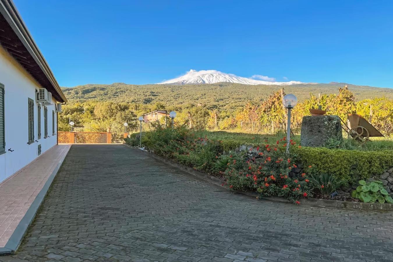 Camia Etna House Apartment Piedimonte Etneo Bagian luar foto